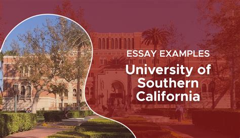 Does USC Require an Essay? A Detailed Analysis